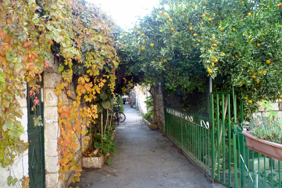 Nahlaot Alley Miriam Safira Nahalot Alley