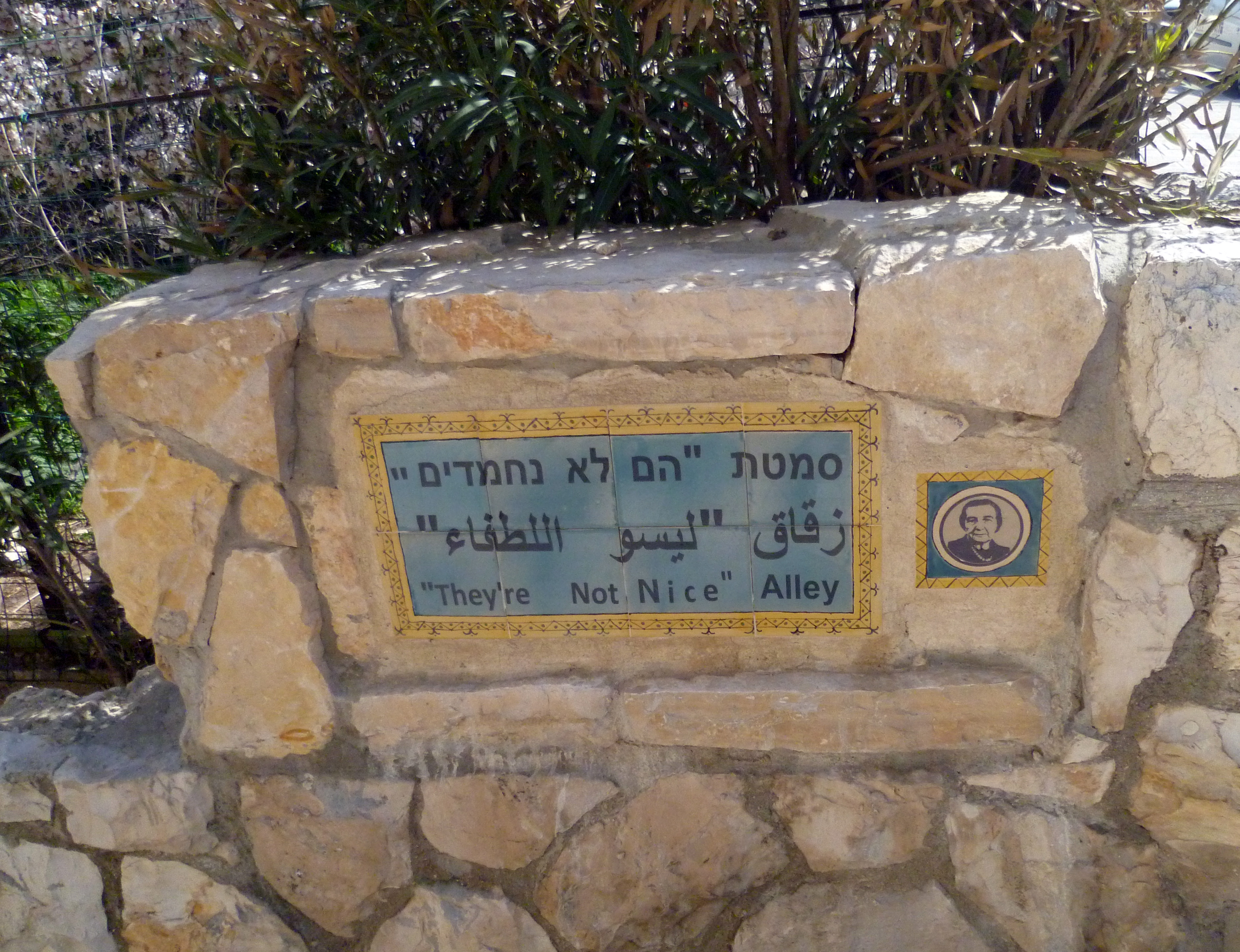 17 They're Not Nice Alley